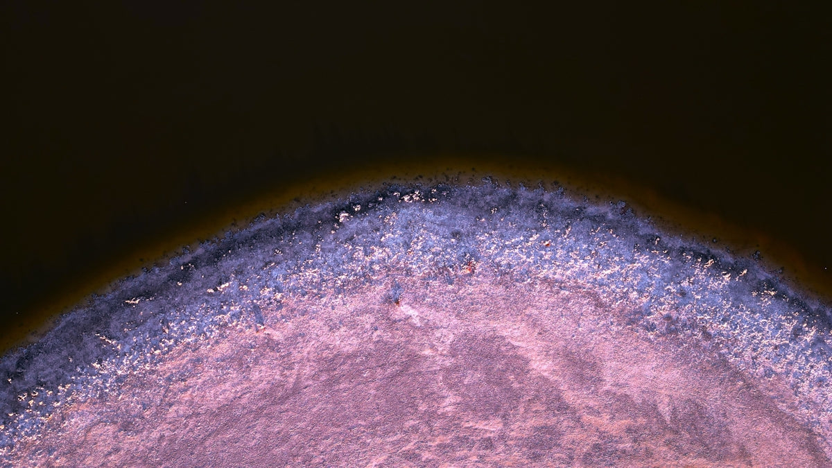 Fotobiomodulacja wspierająca mikrokrążenie - terapia czerwonym światłem Lumaflex